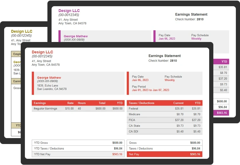 pay stub