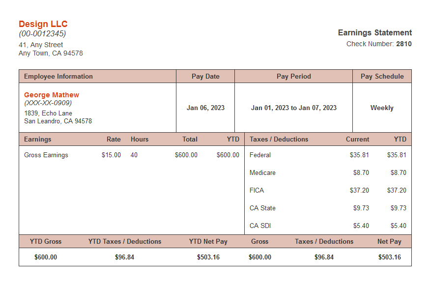 Meadow paystub template