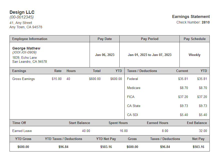 silver coat paystub with time off