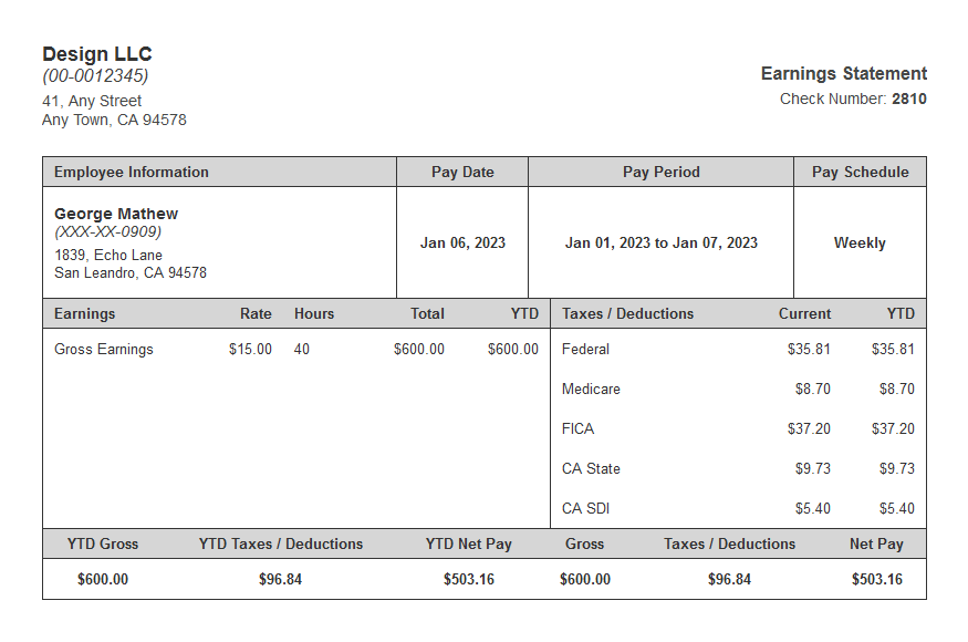 Silver coat paystub template