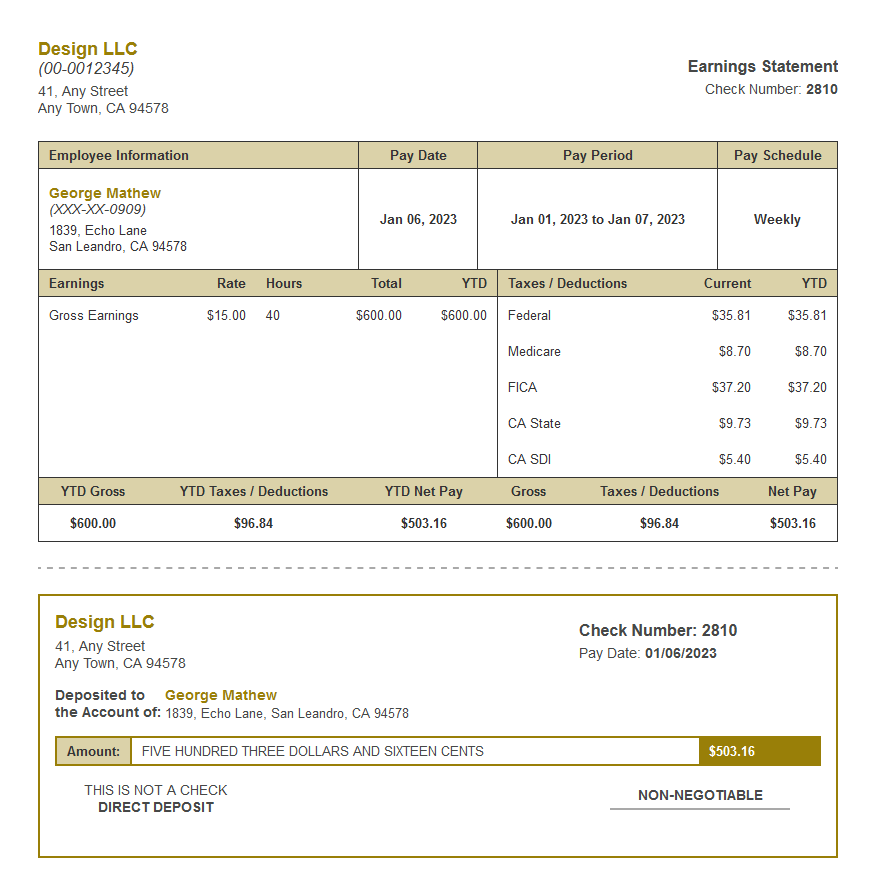 yellow crazy paystub with deposit slip