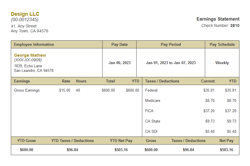 Yellow crazy paystub template