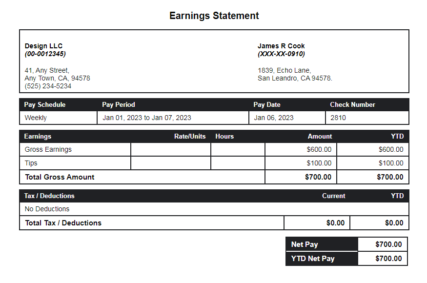 Black paystub template