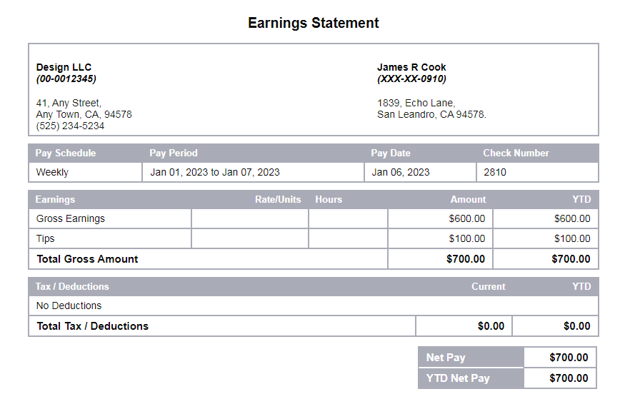 Cloud Gray paystub template