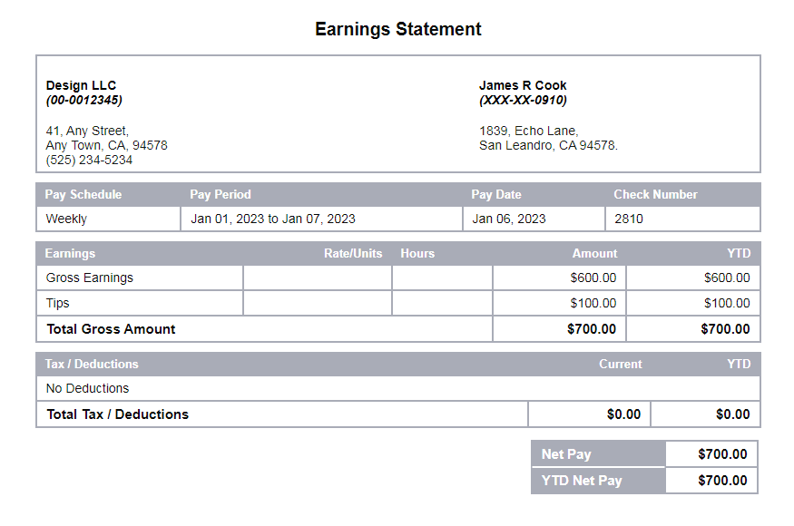 cloud gray paystub