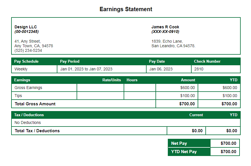 forest green paystub