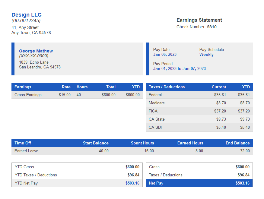 diamma paystub with time off