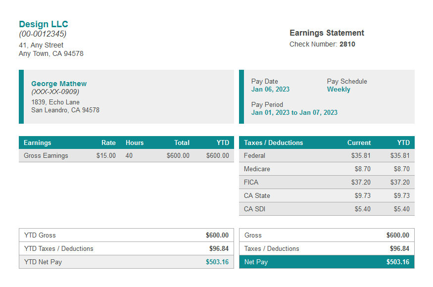 Green head paystub template