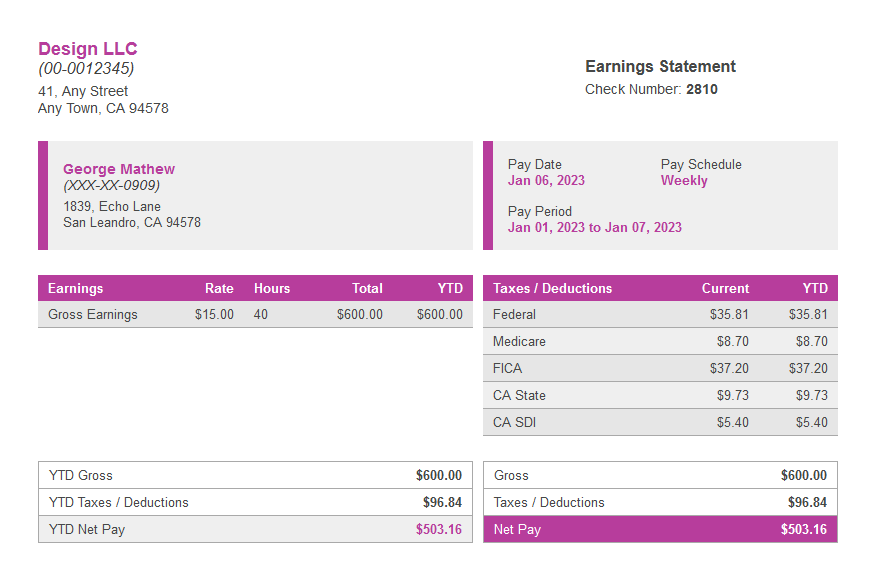 Meat paystub template