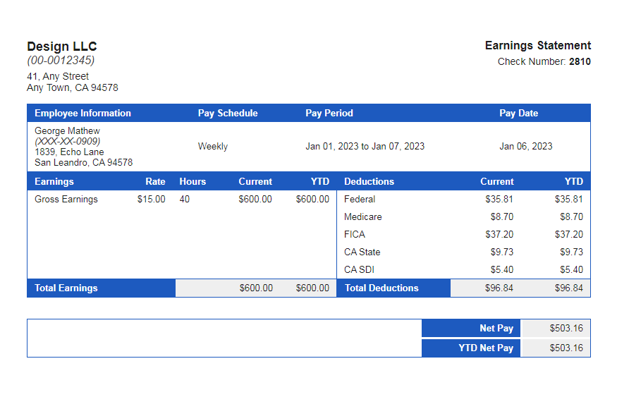 Blue paystub template