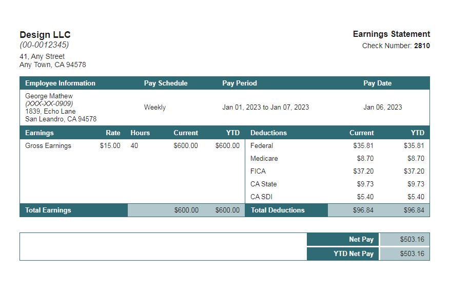 loon turquoise paystub