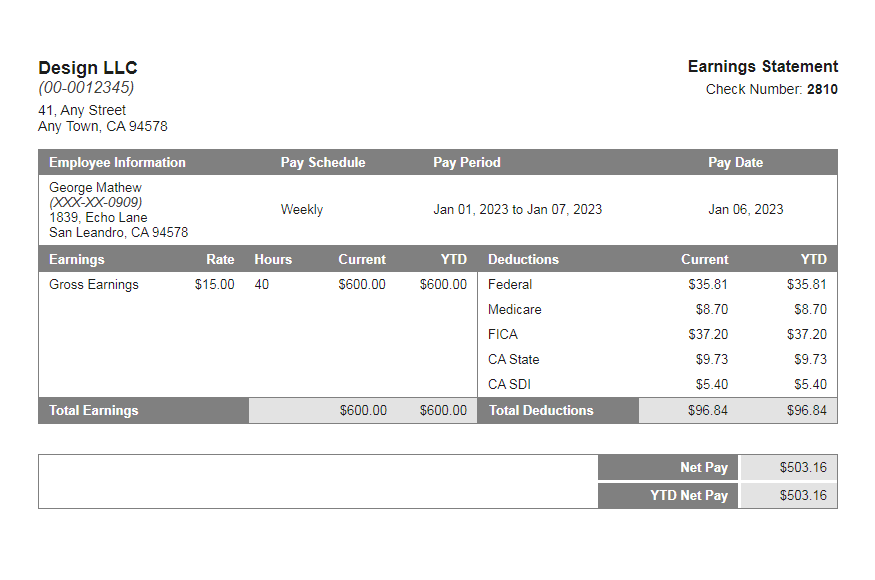 trolley grey paystub template