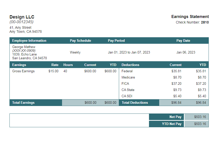 Loon Turquoise paystub template